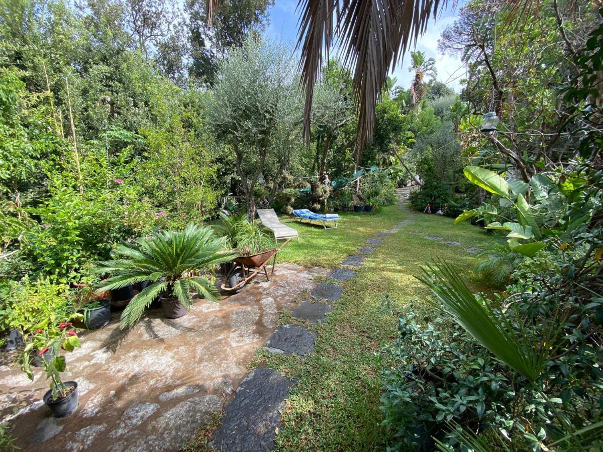 Le Dimore Di Zaro - Green Paradise Forio di Ischia 외부 사진