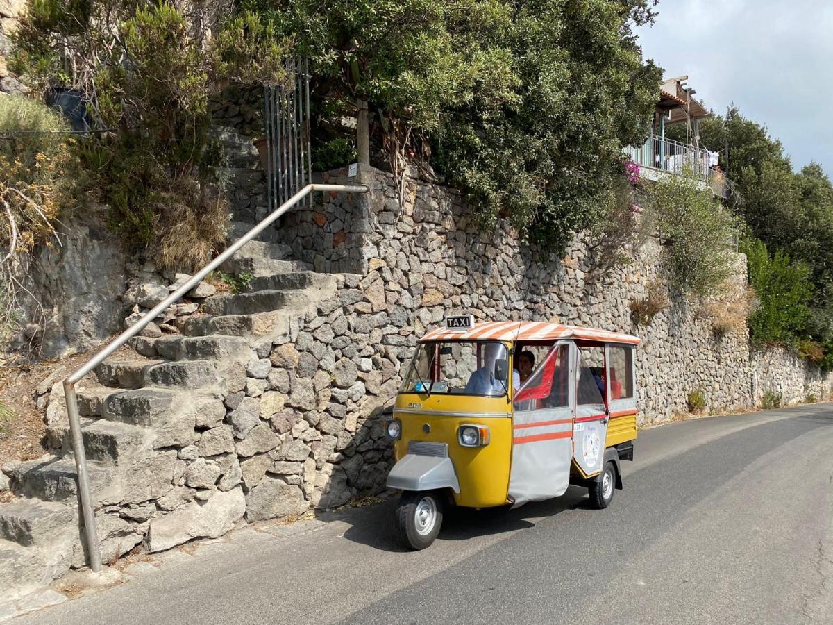 Le Dimore Di Zaro - Green Paradise Forio di Ischia 외부 사진