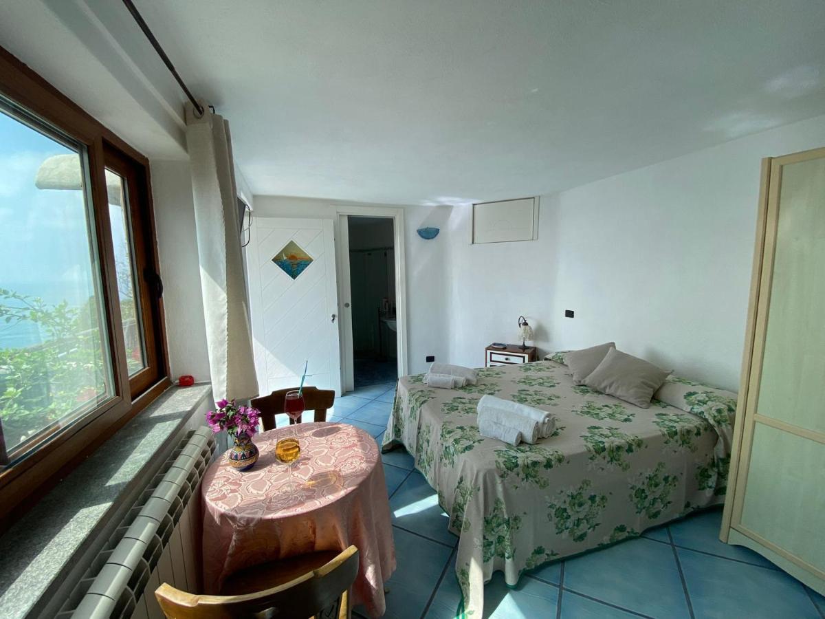 Le Dimore Di Zaro - Green Paradise Forio di Ischia 외부 사진