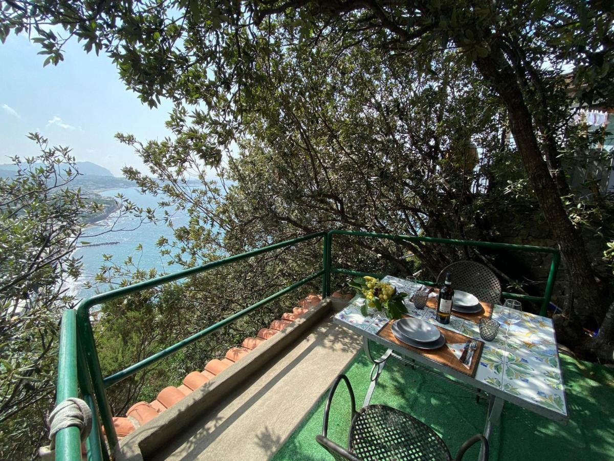Le Dimore Di Zaro - Green Paradise Forio di Ischia 외부 사진