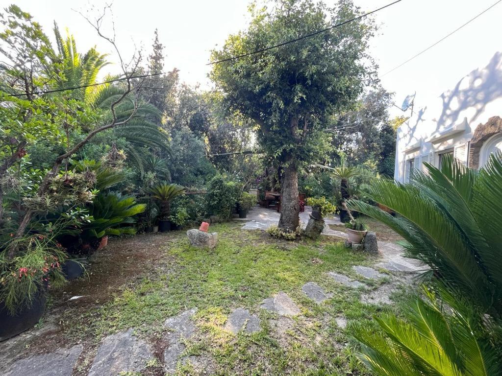 Le Dimore Di Zaro - Green Paradise Forio di Ischia 외부 사진